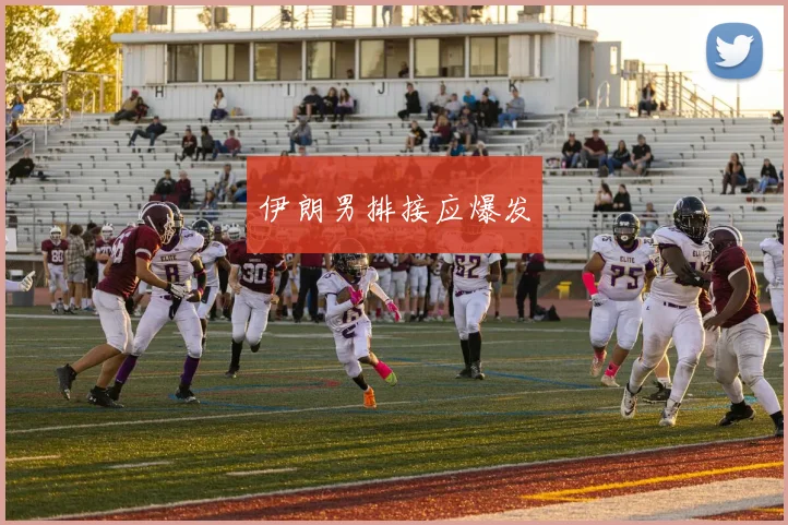 伊朗男排接应爆发
