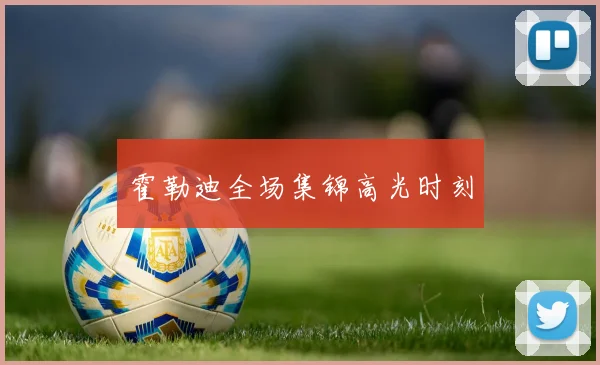 霍勒迪全场集锦高光时刻