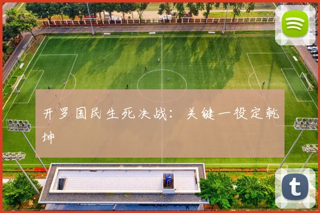 开罗国民生死决战：关键一役定乾坤