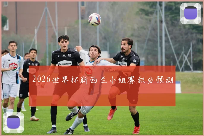 2026世界杯新西兰小组赛积分预测