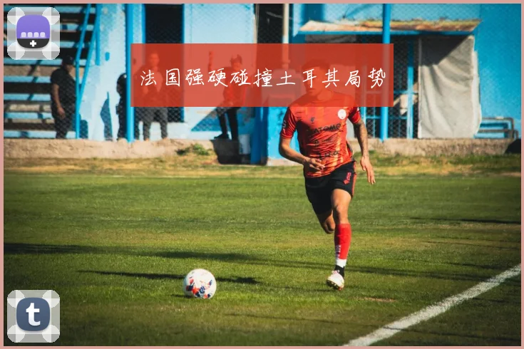法国强硬碰撞土耳其局势