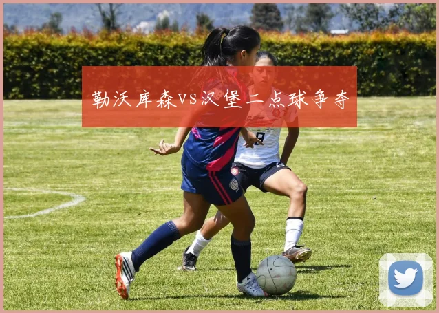 勒沃库森vs汉堡二点球争夺