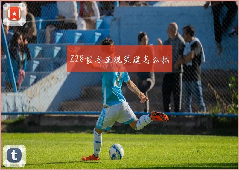 Z28官方正规渠道怎么找