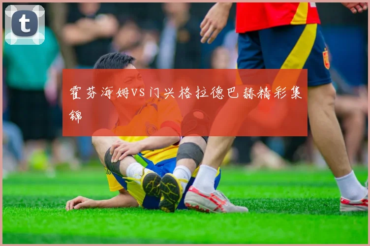 霍芬海姆vs门兴格拉德巴赫精彩集锦