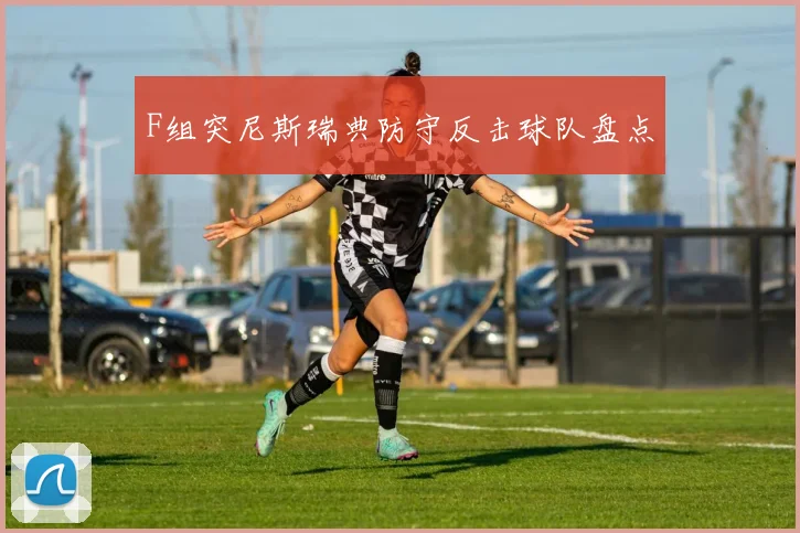 F组突尼斯瑞典防守反击球队盘点